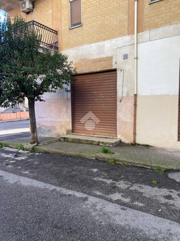 immagine annuncio 6 di 12