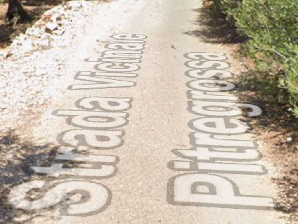 immagine annuncio 4 di 14