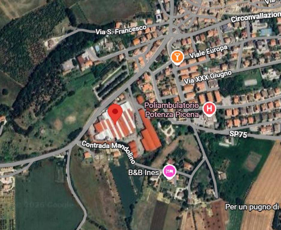 immagine annuncio 3 di 12