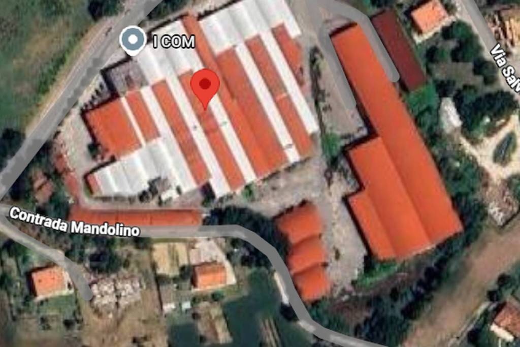 immagine annuncio 4 di 12