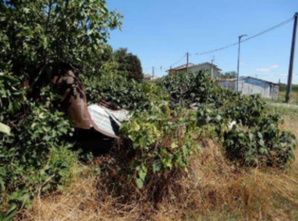 immagine annuncio 7 di 11