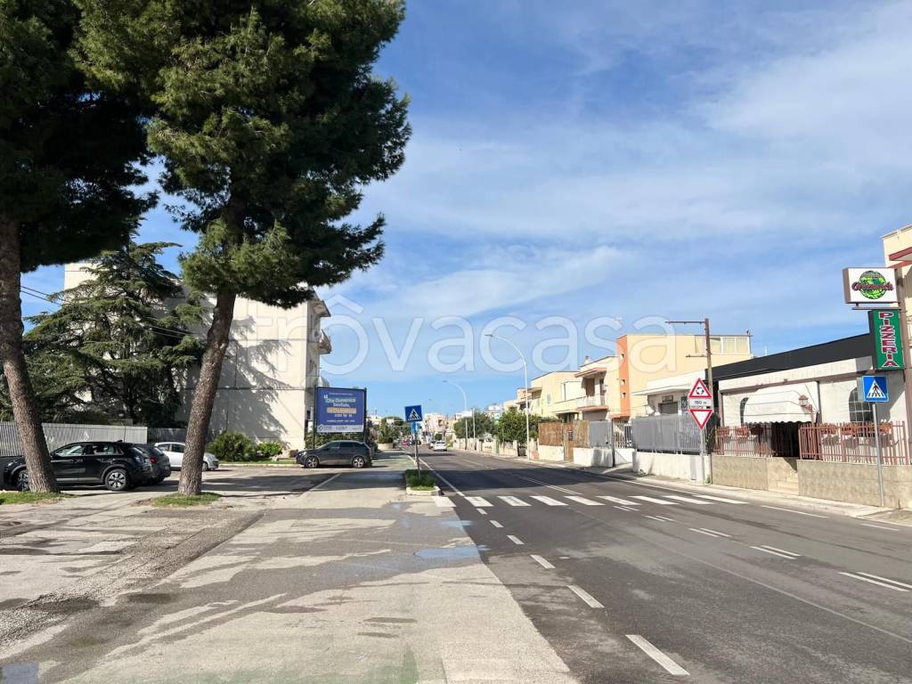 immagine annuncio 10 di 12