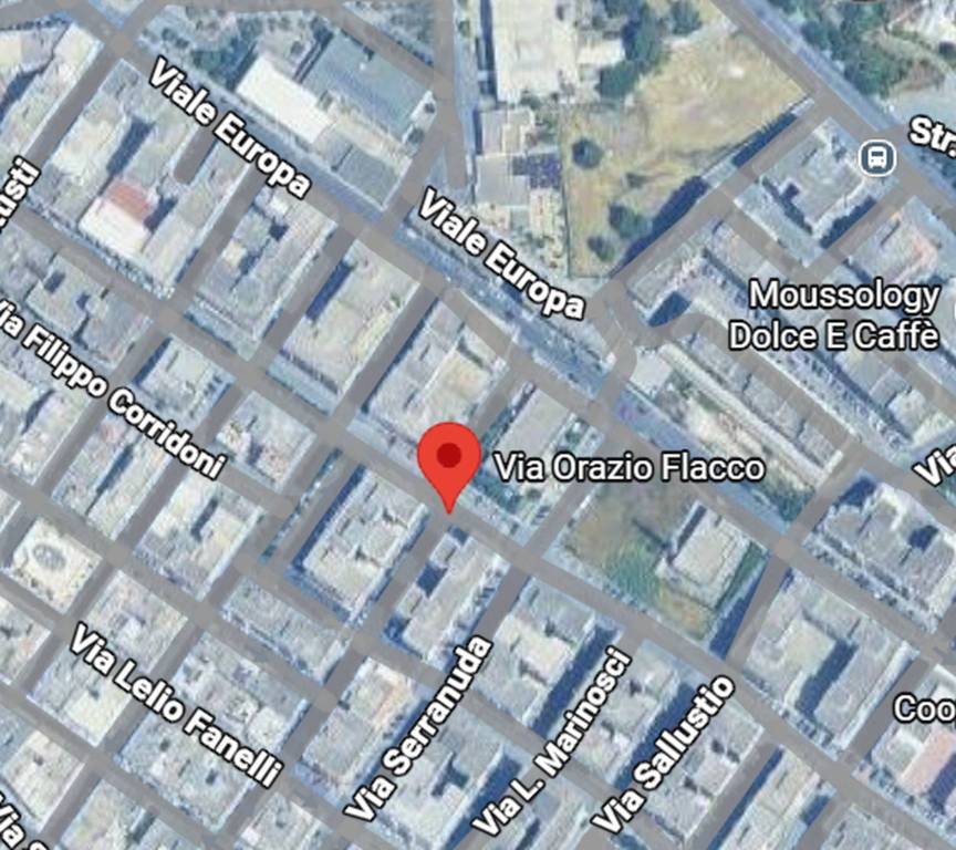 immagine annuncio 5 di 12