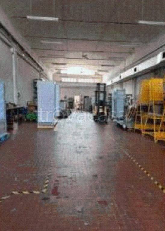 immagine annuncio 3 di 12