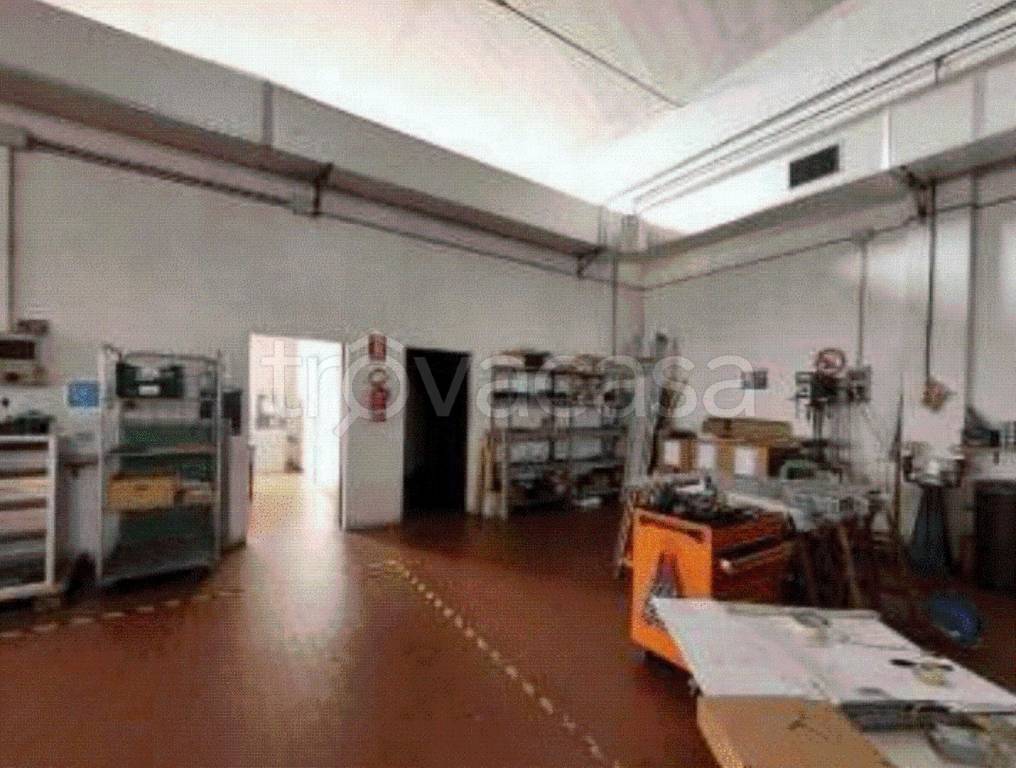 immagine annuncio 5 di 12