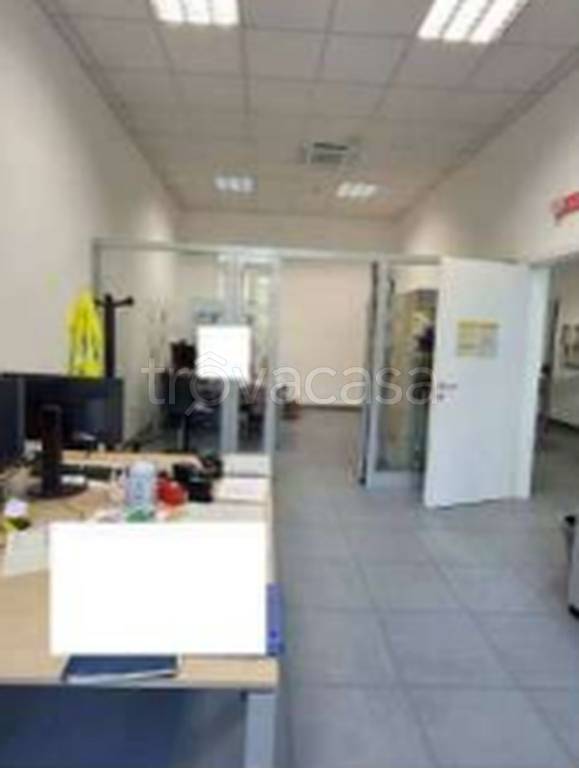 immagine annuncio 2 di 11