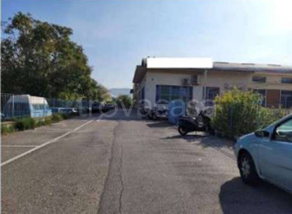 immagine annuncio 7 di 11