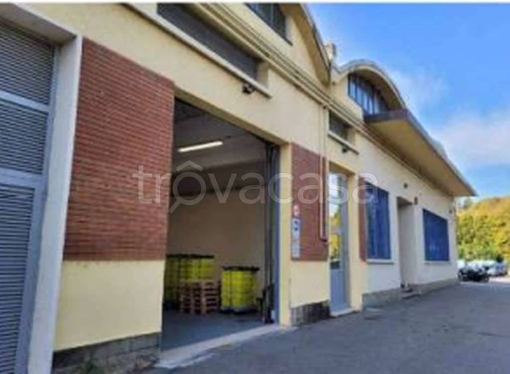 immagine annuncio 8 di 11