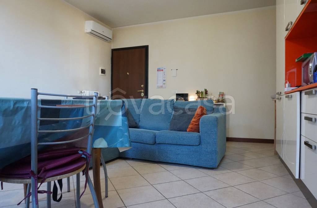 immagine annuncio 9 di 15