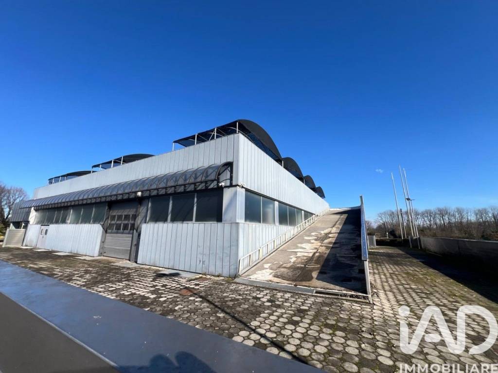 immagine annuncio 8 di 15