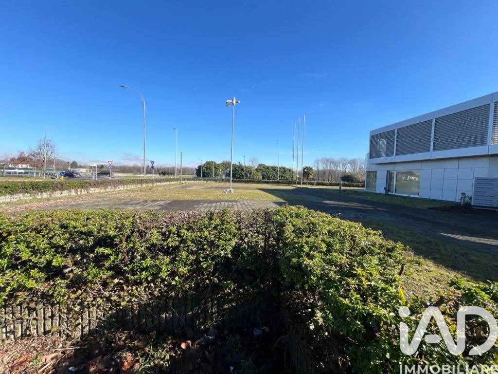 immagine annuncio 12 di 15