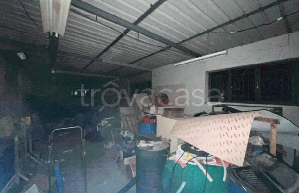 immagine annuncio 9 di 11