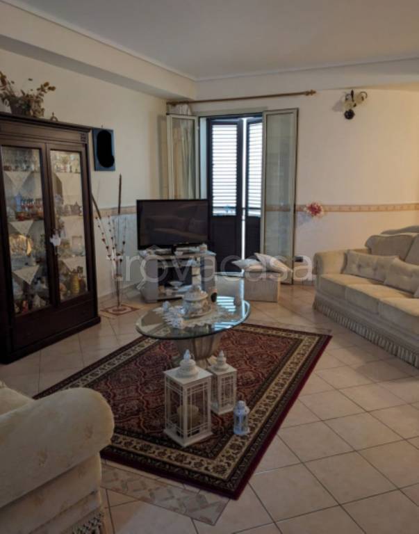 immagine annuncio 6 di 14