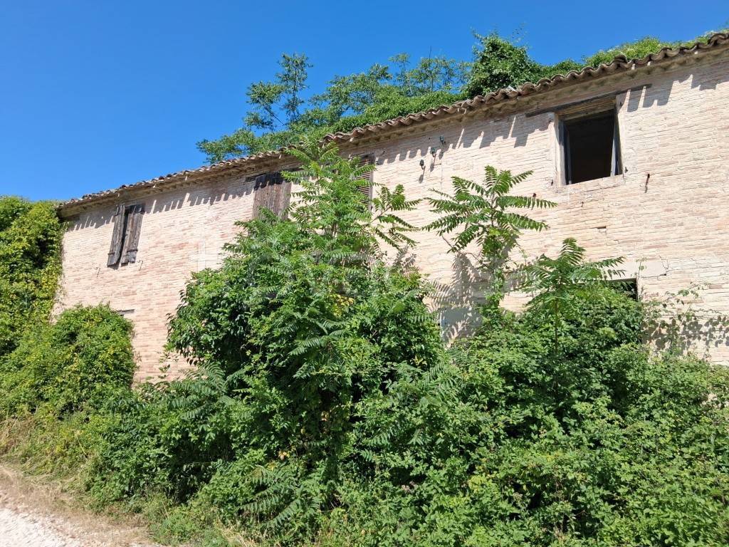 immagine annuncio 2 di 11