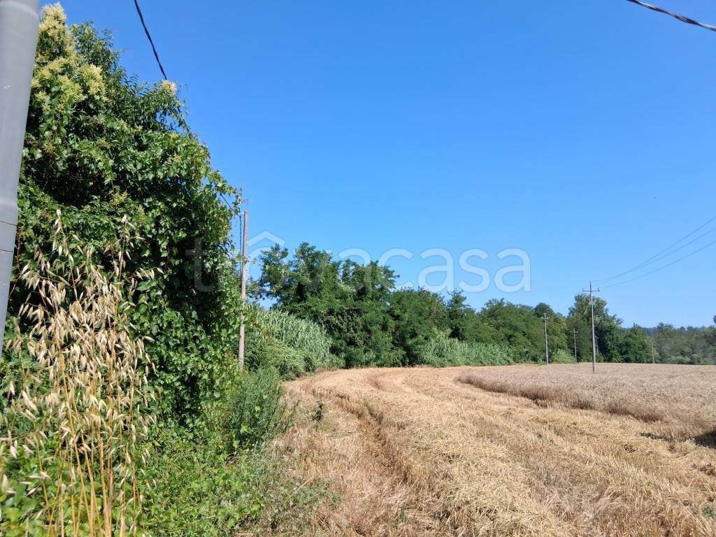 immagine annuncio 4 di 11