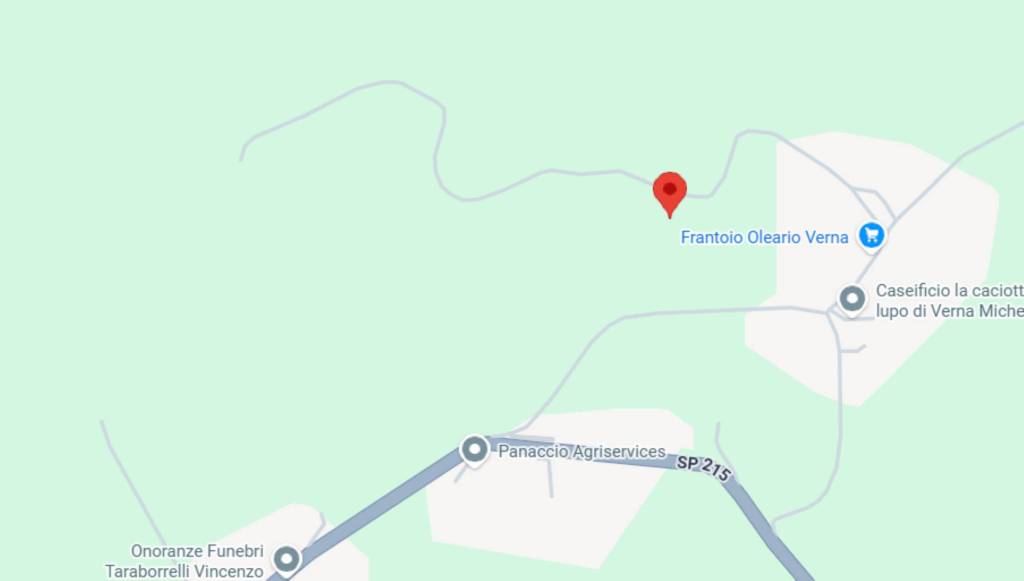 immagine annuncio 6 di 11