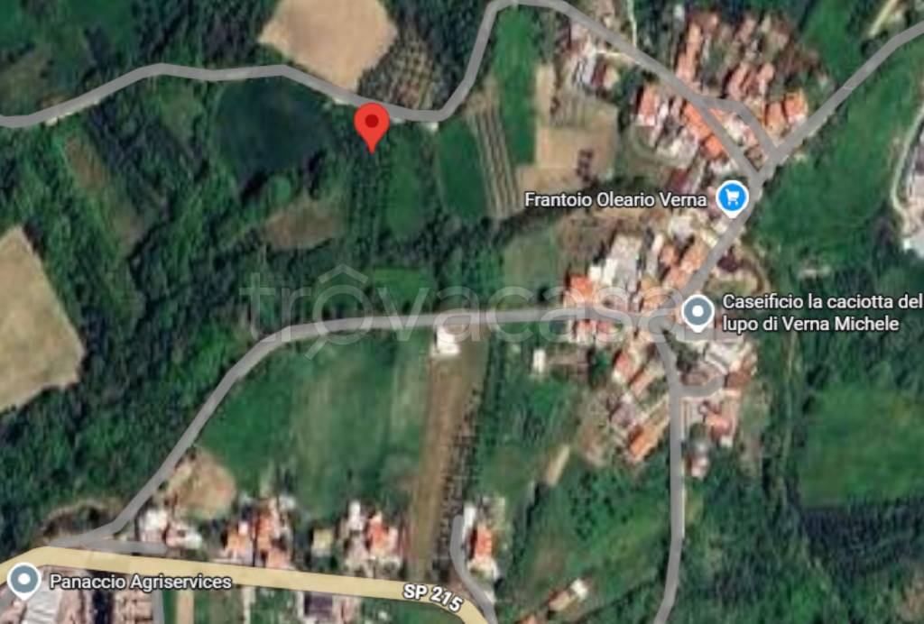 immagine annuncio 9 di 11