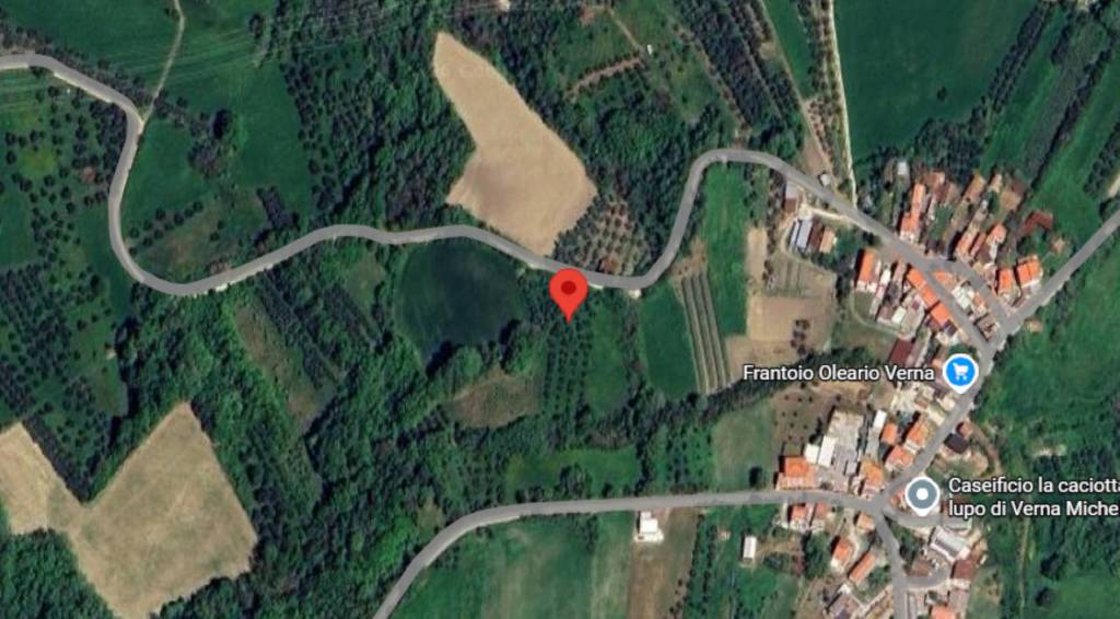 immagine annuncio 10 di 11