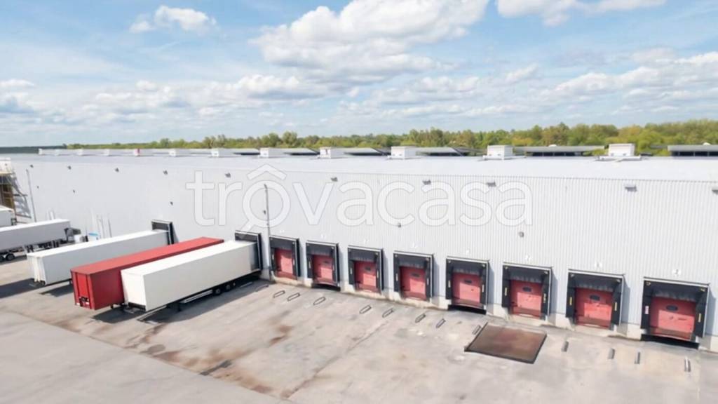 immagine annuncio 3 di 12