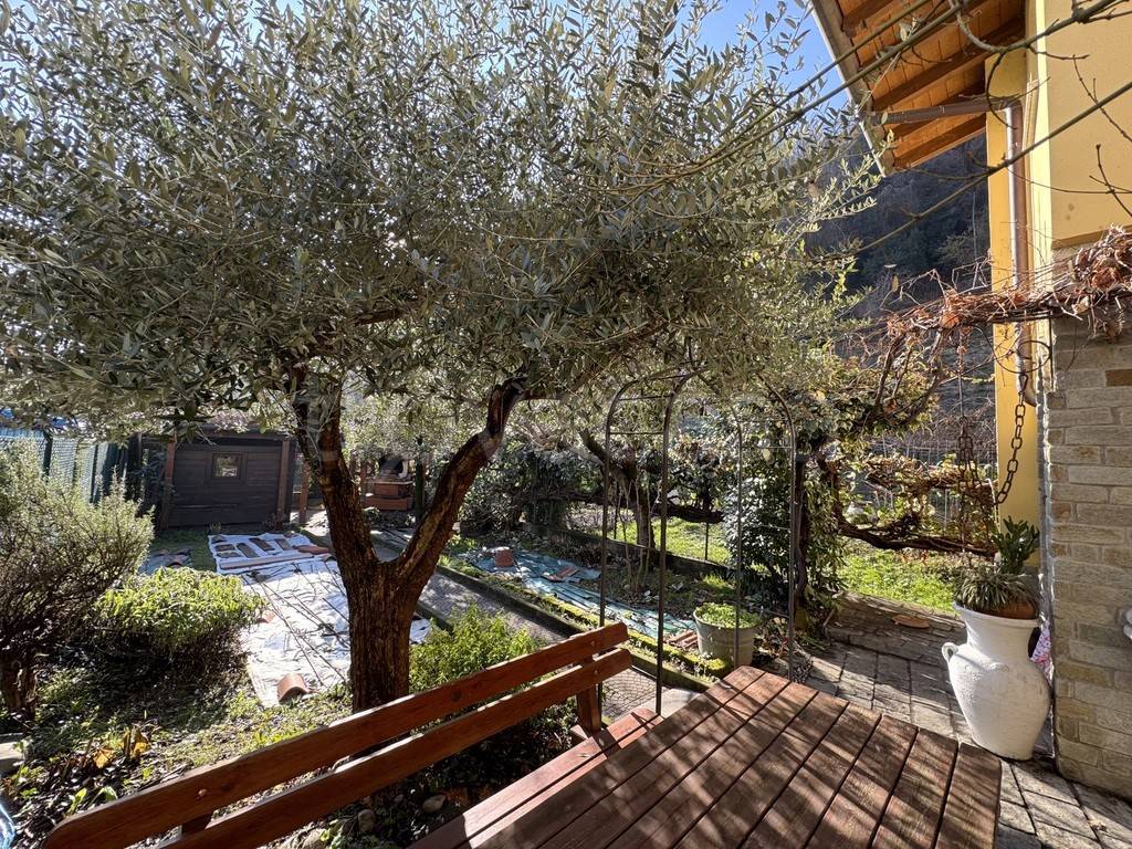 immagine annuncio 5 di 15