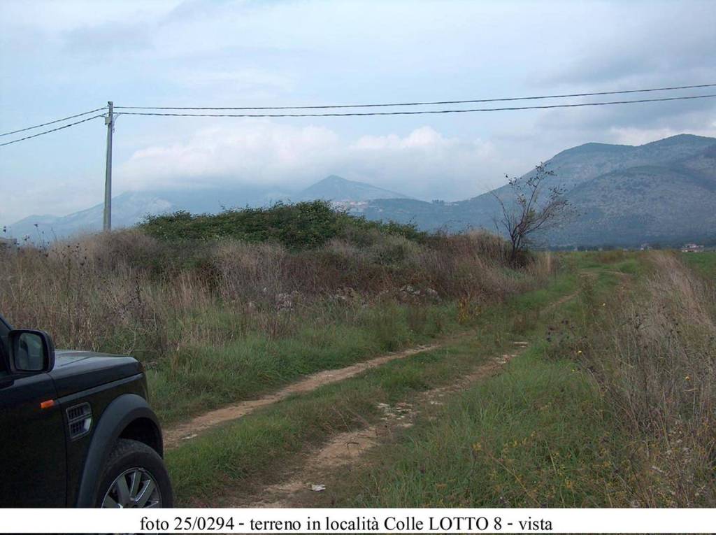 immagine annuncio 10 di 11