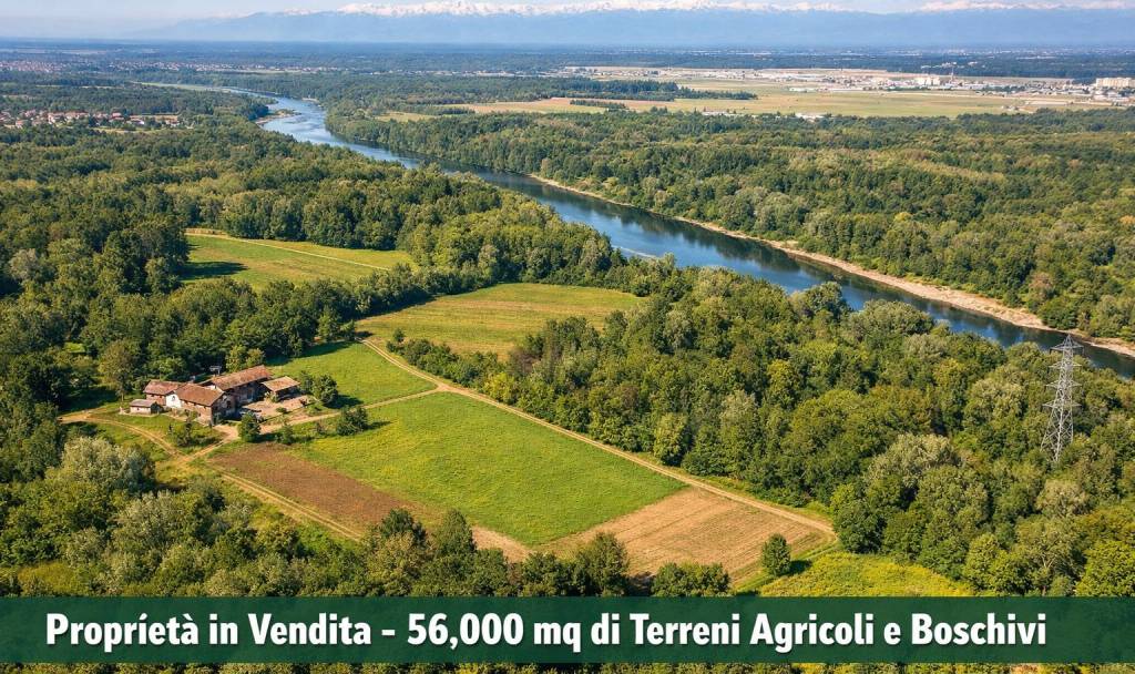 immagine annuncio 1 di 2