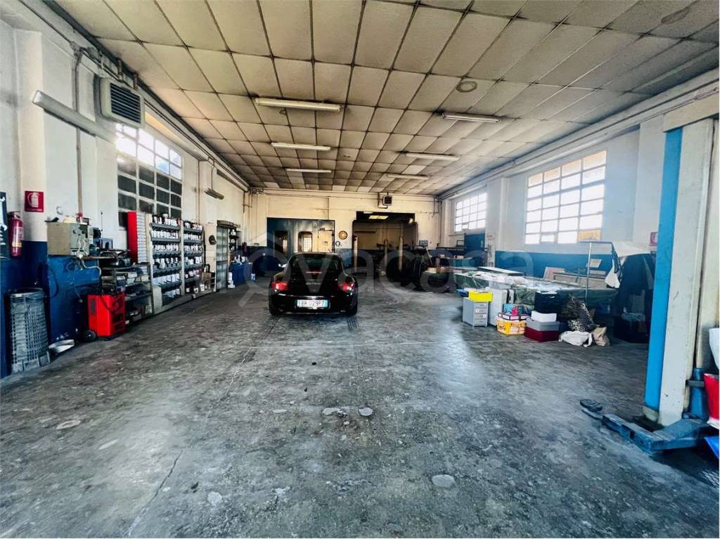 immagine annuncio 2 di 15