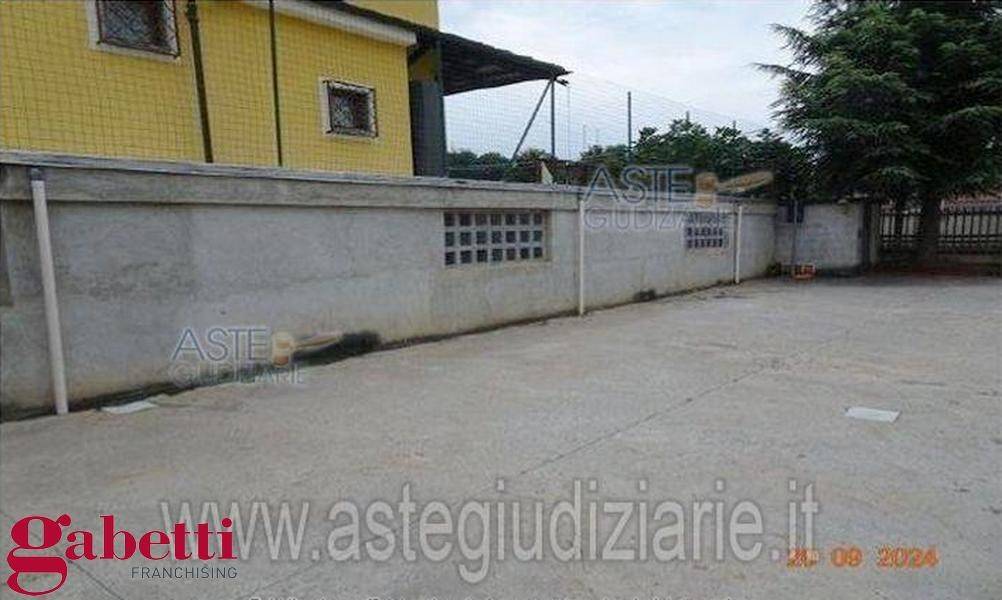 immagine annuncio 3 di 11