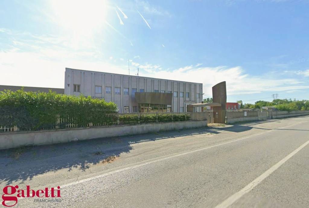 immagine annuncio 10 di 11