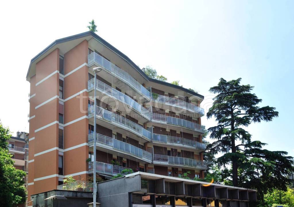 immagine annuncio 10 di 12