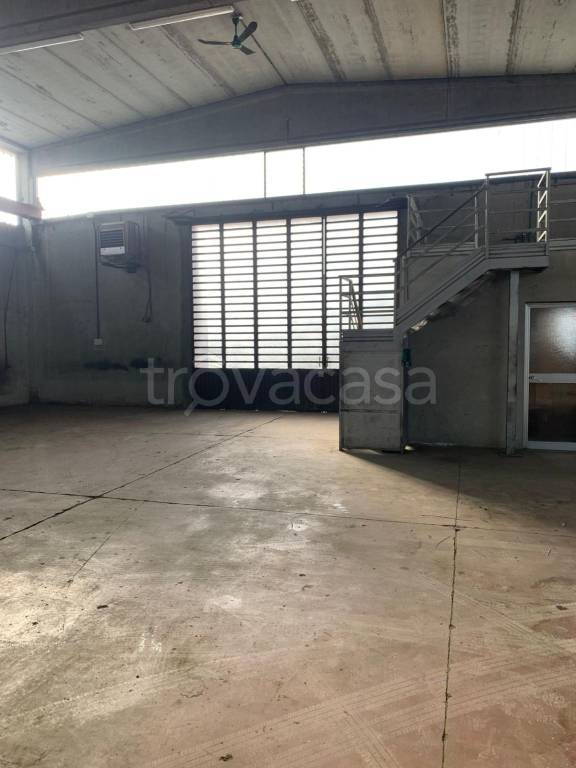 immagine annuncio 2 di 12