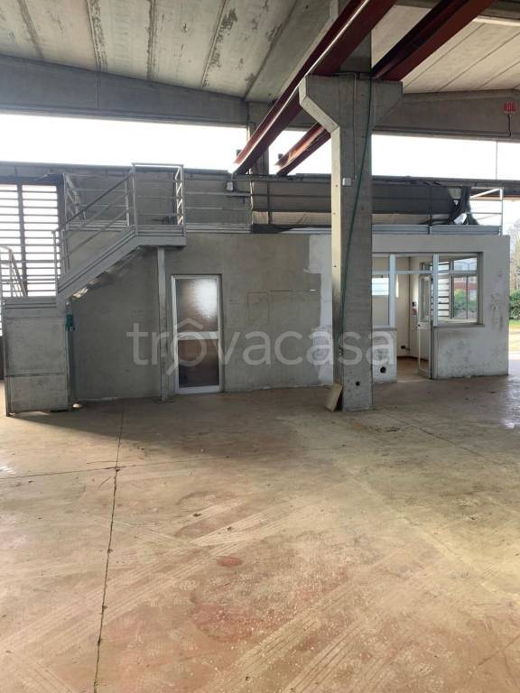 immagine annuncio 4 di 12