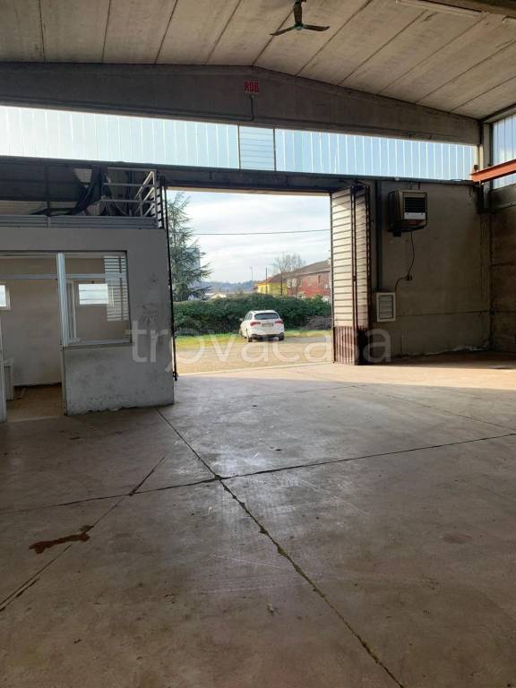 immagine annuncio 5 di 12