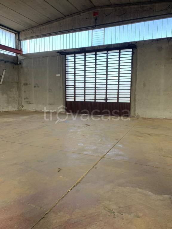 immagine annuncio 6 di 12