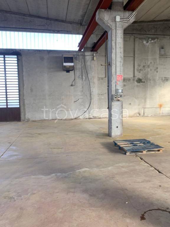 immagine annuncio 7 di 12