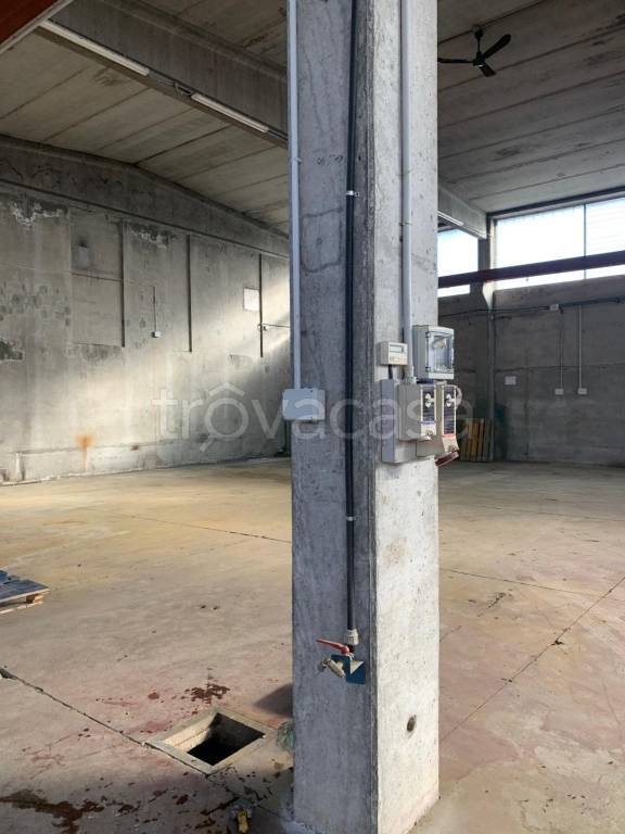 immagine annuncio 8 di 12