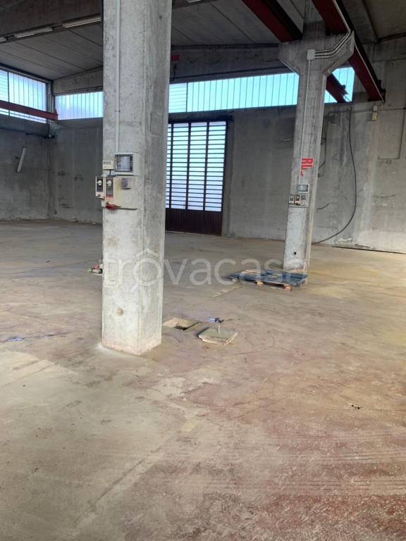 immagine annuncio 9 di 12