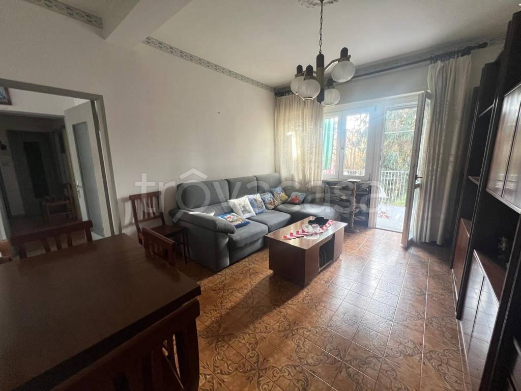 immagine annuncio 3 di 14