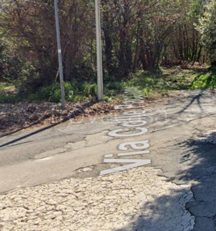 immagine annuncio 5 di 12