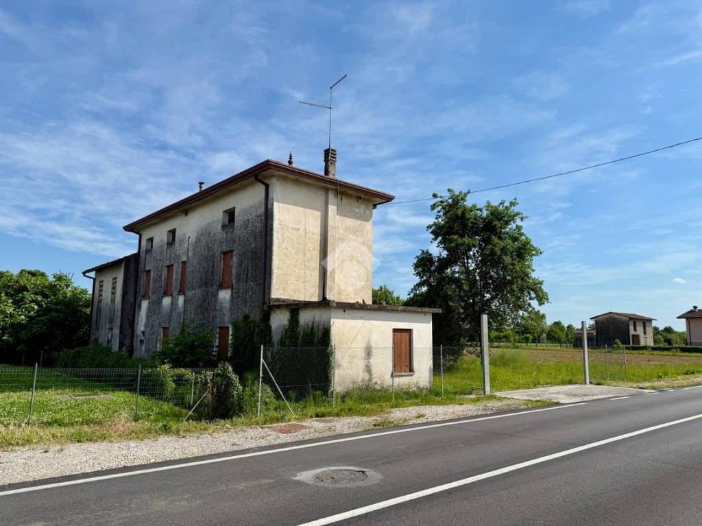 immagine annuncio 7 di 14