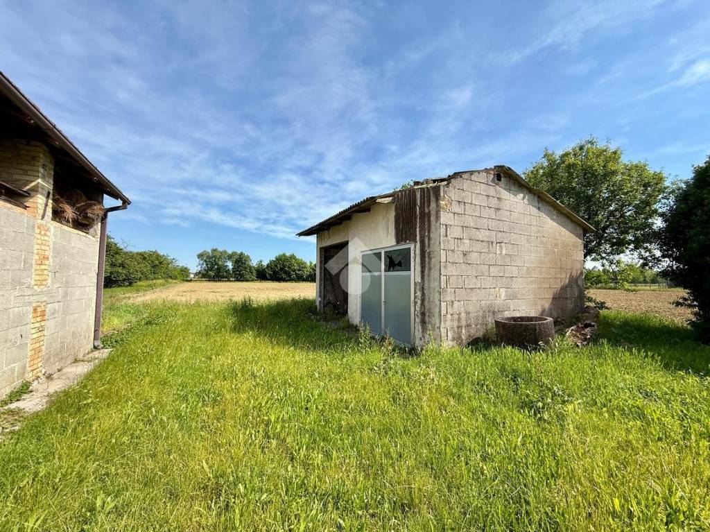 immagine annuncio 9 di 14