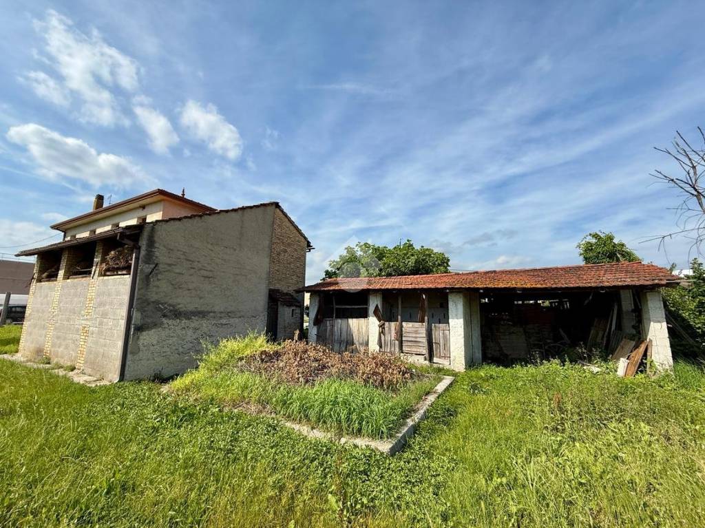 immagine annuncio 10 di 14