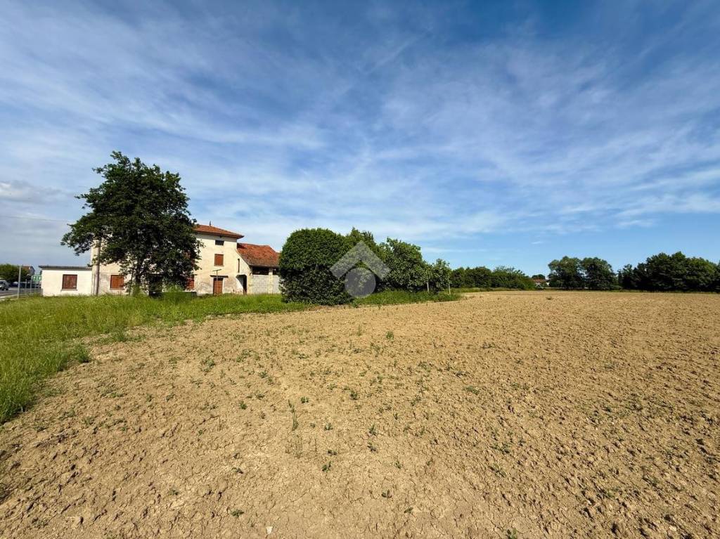 immagine annuncio 11 di 14