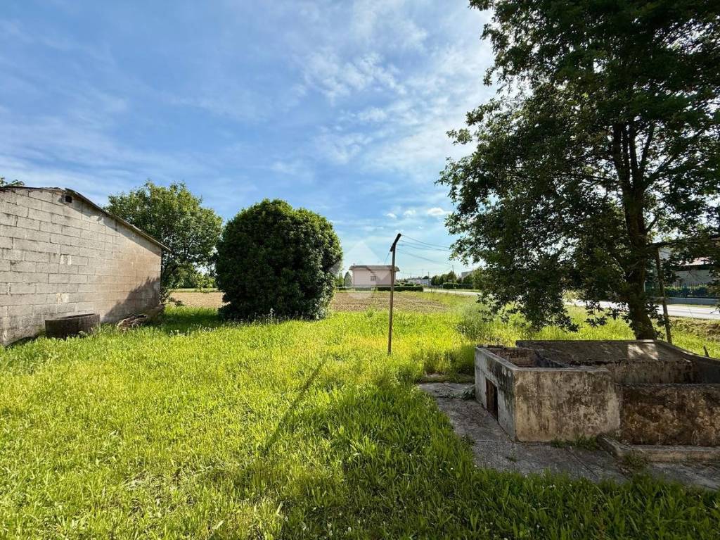 immagine annuncio 13 di 14