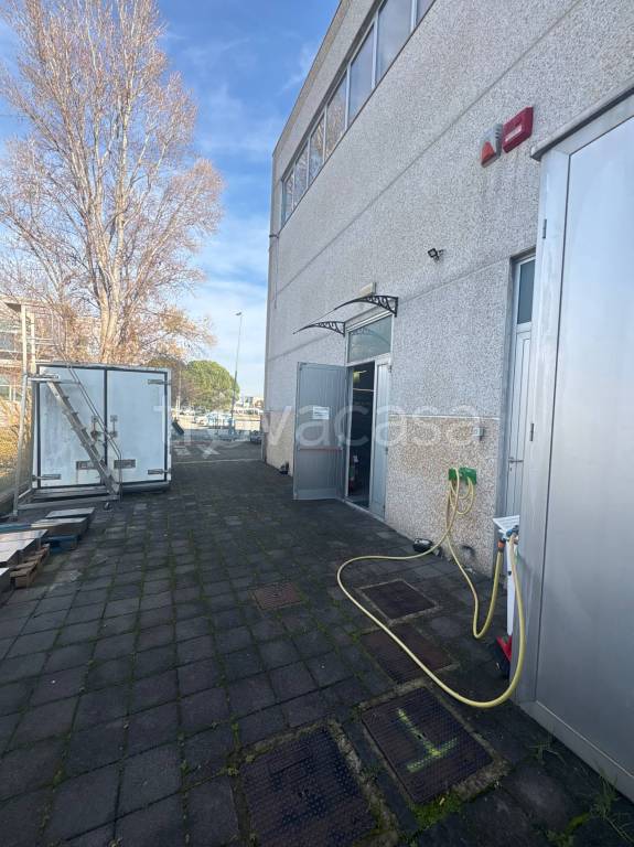 immagine annuncio 2 di 13