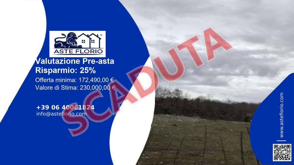 immagine annuncio 1 di 11