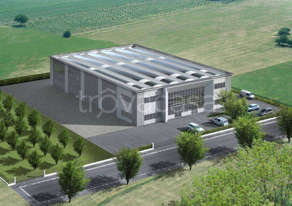 immagine annuncio 7 di 13