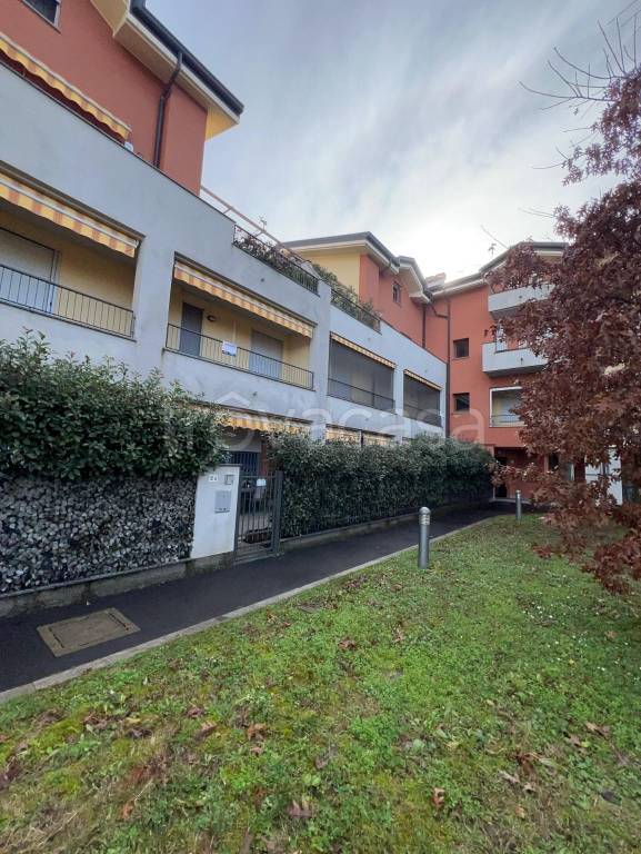 immagine annuncio 11 di 12