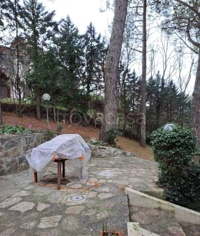 immagine annuncio 10 di 12