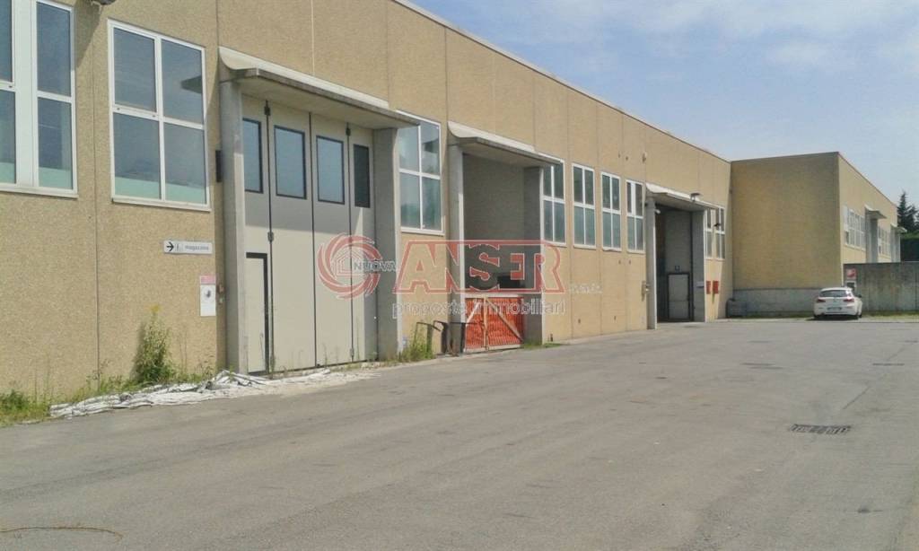 immagine annuncio 12 di 15